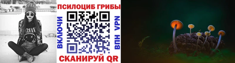 Галлюциногенные грибы GOLDEN TEACHER Валдай